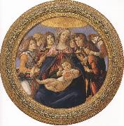 Sandro Botticelli Madonna and Child with six Angels or Madonna of the Pomegranate (mk36) oil painting
